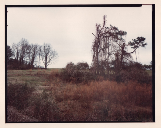 William Christenberry, ‘Kudzu with Sky (Winter) Near Akron, Alabama, est. $800- $1,200. Quinn & Farmer Auctions image